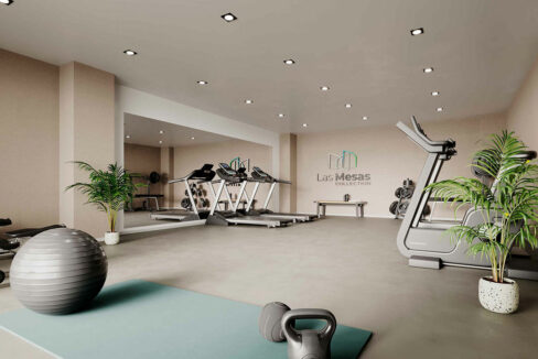 07_LAS-MESAS_CAM_GYM_web-scaled